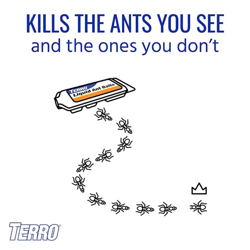 FBS-Liquid-Ants-5 Have an Ant Problem?